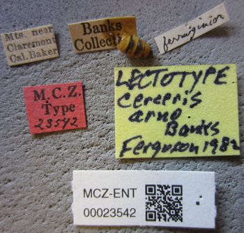 Media type: image;   Entomology 23542 Aspect: labels